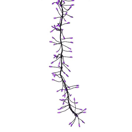 Celebrations Celebrations Purple 250 ct 3 in. LED Prelit Connectable Big Seed Cluster Halloween Lights BSCCX250PLA